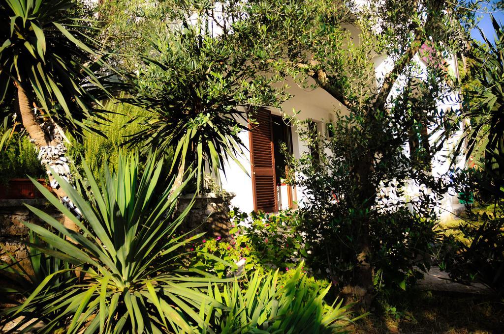 Apartments Adrialuka Dubrava  Εξωτερικό φωτογραφία